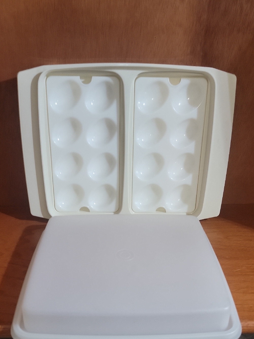 Tupperware Beige  Egg Transport Container
